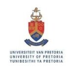 University Of Pretoria